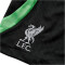 NIKE FC Liverpool Strike Dri-FIT Knit Fußballshorts Kinder 010 - black/poison green/white L (147-158 cm)
