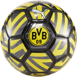 PUMA BVB Borussia Dortmund Fußball