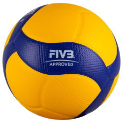 MIKASA V200W DVV Volleyball