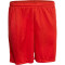 DERBYSTAR Basic Shorts rot 164