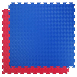 TRENDY SPORT Sportmatte Profi - 100x100x2 cm Blau/Rot