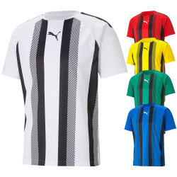 PUMA teamLIGA Striped Trainingsshirt Herren