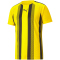 PUMA teamLIGA Striped Trainingsshirt Herren cyber yellow/puma black L