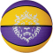NIKE Playground 8P L James Basketball 575 court purple/amarillo/black/white 7