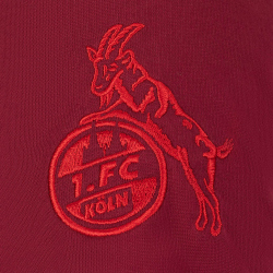 uhlsport 1. FC Köln Pro Karnevalsshirt 2021/22 burgund M