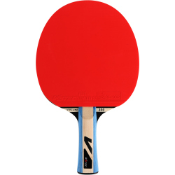 V3TEC 300 Tischtennis-Schläger rot-blau