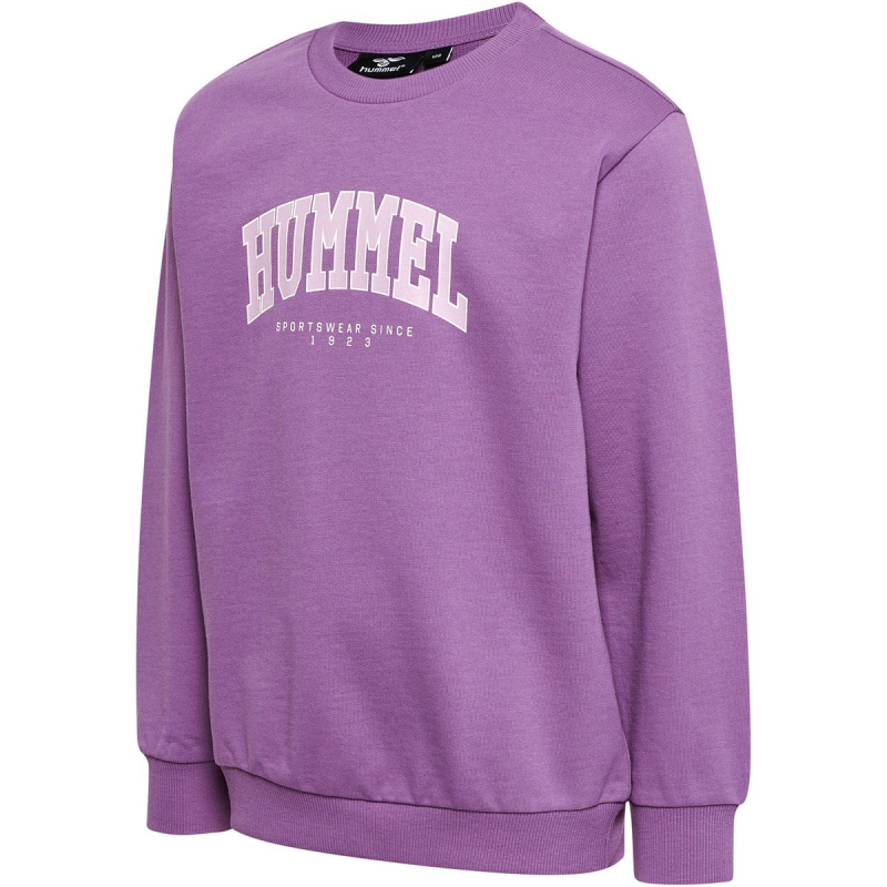 hummel hmlFAST Sweatshirt Kinder argyle purple 110