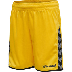 hummel Authentic Polyester Shorts