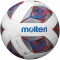 10er Ballpaket molten Fußball Trainingsball F5A3600-R weiß/rot/blau/silber 5