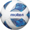 10er Ballpaket molten Fußball Trainingsball F4A1710 weiß/blau/silber 4
