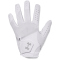 UNDER ARMOUR Iso-Chill Golfhandschuh Damen 100 - white/halo gray/halo gray L (links)