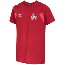 hummel 1.FC Köln Travel Shirt 2023/24 Kinder