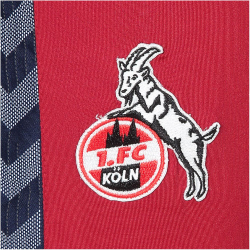 hummel 1. FC Köln Trainingshose 2023/24 Kinder red dahlia 116