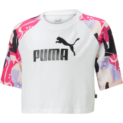 PUMA Essentials+ Street Art Raglan Print T-Shirt...