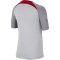 NIKE FC Liverpool Strike Dri-FIT Knit kurzarm Fußballshirt Kinder 015 - wolf grey/smoke grey/tough red M (137-147 cm)